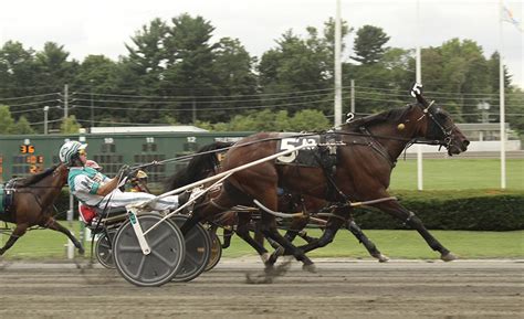 freehold raceway results|thoroughbred race results.